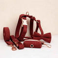 Load image into Gallery viewer, Dark Red Corduroy Set