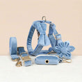 Load image into Gallery viewer, Blue Velvet Set