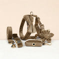 Load image into Gallery viewer, Shallow Khaki Velvet Set