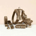 Load image into Gallery viewer, Shallow Khaki Velvet Set
