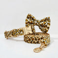 Load image into Gallery viewer, Velvet Leopard Set