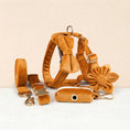 Load image into Gallery viewer, Orange Velvet Set