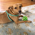 Load image into Gallery viewer, Flamingo Small Breed Dog Harness