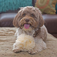 Load image into Gallery viewer, HuggleFleece® Plush Ball Dog Toy - image 7