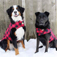 Load image into Gallery viewer, Up Country Buffalo Check Fleece Lined Coat Pet Accessory