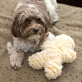Load image into Gallery viewer, HuggleFleece® Man Plush Dog Toy, Regular - image 4