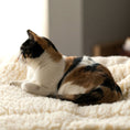 Load image into Gallery viewer, HuggleFleece® Mat Cat & Dog Bed - image 10