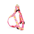 Load image into Gallery viewer, Up Country Flower Power Small Breed Dog Harness Made in USA