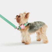 Flora Pet Harness & Backpack 3-in-1 Set