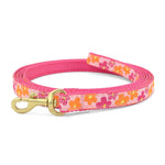Flower Power Small Breed Dog Lead