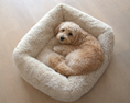 Load image into Gallery viewer, Bowsers Franklin Orthopedic Dog Bed in blue-lagoon