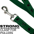 Load image into Gallery viewer, EcoBark Forest Green Dog Leash by Southlake Paws with padded grip and strong clasp, designed for small and medium dogs.