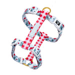 Frenchie Strap Harness - Cherries Blue