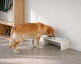 Load image into Gallery viewer, Bowsers Fresco Double Wood Dog Bowl Feeder in lunar