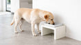 Load image into Gallery viewer, Bowsers Fresco Single Wood Dog Bowl Feeder in lunar