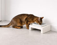 Load image into Gallery viewer, Fresco Single Wood Feeder