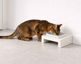 Load image into Gallery viewer, Bowsers Fresco Single Wood Dog Bowl Feeder in lunar