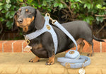 The Novalie Mist - Step in Dog Harness is