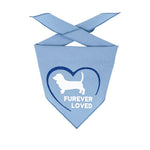 Furever Loved Basset Bandana