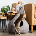 Load image into Gallery viewer, Earth Brown | Tail Style Cave