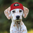 Load image into Gallery viewer, NCAA University of Georgia Bulldogs Dog Hat
