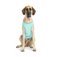 Load image into Gallery viewer, Elasto-Fit Ice Vest - Aqua