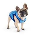 Load image into Gallery viewer, Elasto-Fit Ice Vest - Blue