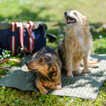 Personalized Denim Dog Travel Mat