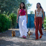 Multi Nubuck Celestial Dog Leash