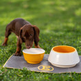 Load image into Gallery viewer, Personalized Faux Leather Dog Placemat Grey/Yellow