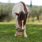 Green And Mommo Dog Water Bowl
