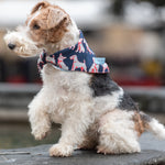 Dog Bandana 100 & 1 Puppies