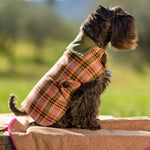 Personalized Bespoke Dog Coat/Raincoat Glam Sett