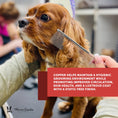 Load image into Gallery viewer, Groomer's Everyday Comb