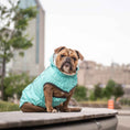 Load image into Gallery viewer, Reversible Raincoat - Neon Aqua with Iridescent