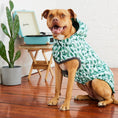 Load image into Gallery viewer, Reversible Elasto-Fit Raincoat - Green/Green
