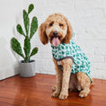 Load image into Gallery viewer, Reversible Elasto-Fit Raincoat - Green/Green