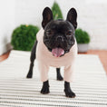 Load image into Gallery viewer, Gondola Base Layer - Pink
