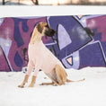 Load image into Gallery viewer, Gondola Base Layer - Pink