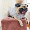 Load image into Gallery viewer, Urban Hoodie - Heather Grey