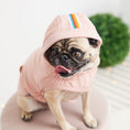 Load image into Gallery viewer, Urban Hoodie - Pink