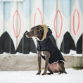 Load image into Gallery viewer, Urban Parka - Black