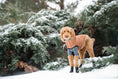 Load image into Gallery viewer, Urban Parka - Caramel
