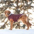 Load image into Gallery viewer, Winter Sailor Parka - Burgundy