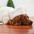 Load image into Gallery viewer, Cozy Hoodie - White