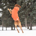 Load image into Gallery viewer, Insulated Raincoat - Orange
