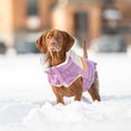 Load image into Gallery viewer, Camplife Puffer - Purple