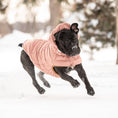 Load image into Gallery viewer, Arctic Parka - Clay