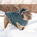 Load image into Gallery viewer, Arctic Parka - Teal