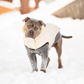 Load image into Gallery viewer, Reversible Chalet Jacket - Sand/Yellow